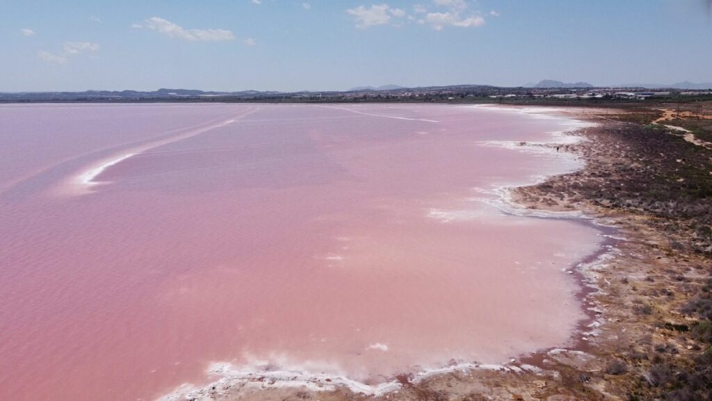 Vista aérea de la laguna salada rosa de La Mata, junto al mar, cerca de Torrevieja